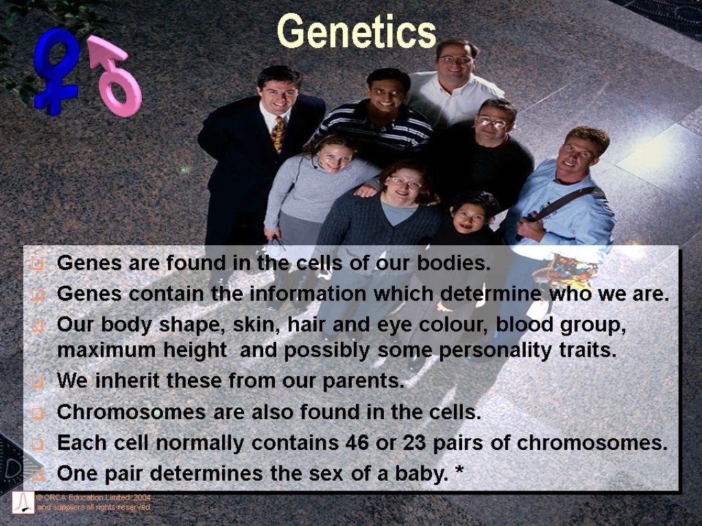 Genetics Genes are found in the cells of our bodies. Genes contain the information